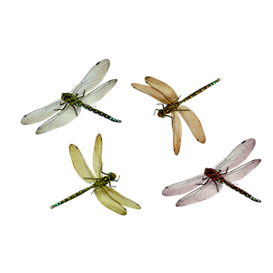 Dragonfly PNG-26276